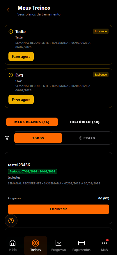 Meus treinos